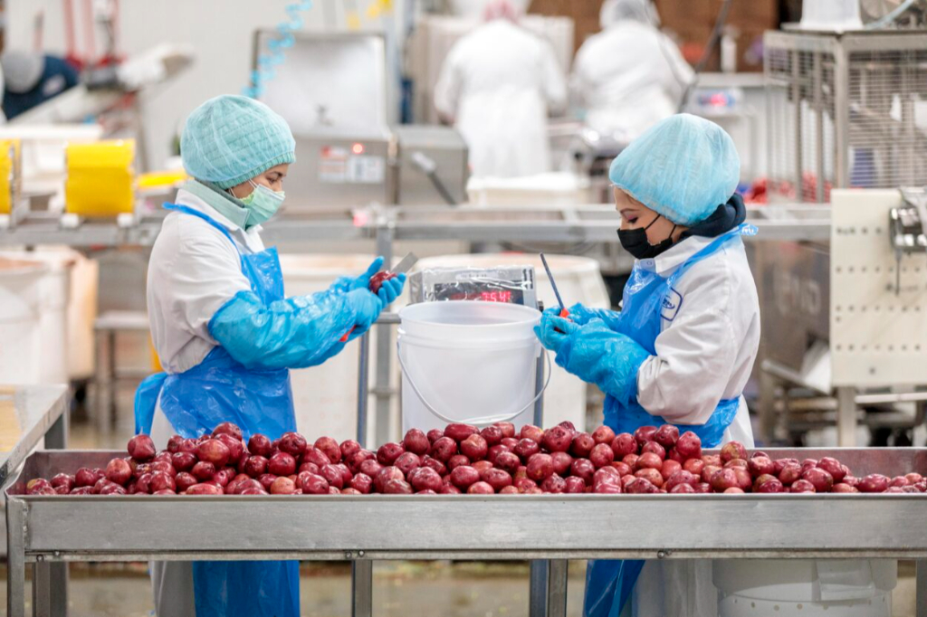 SQF – Le Safe Quality Food SQF – Le Safe Quality Food